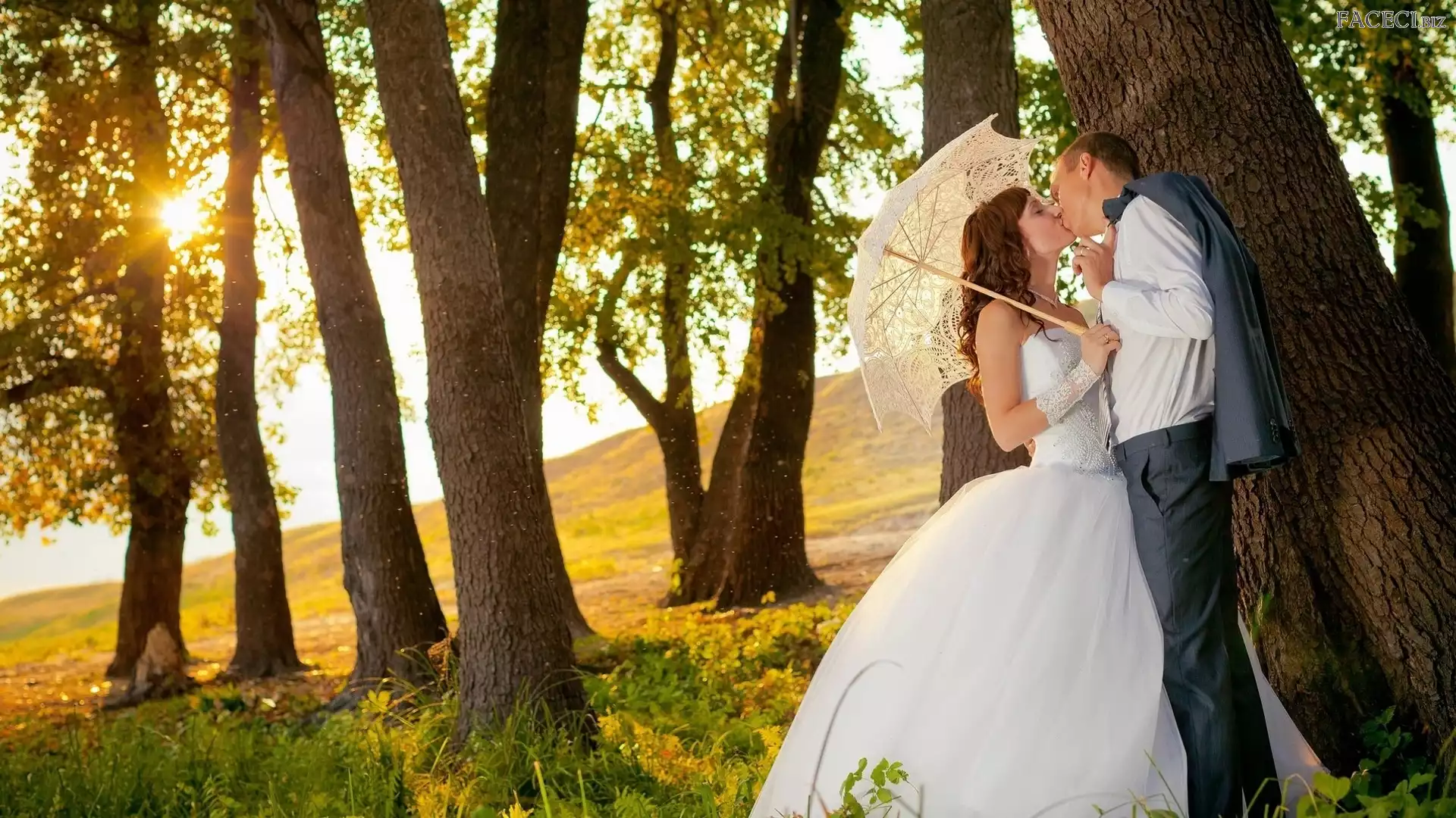 Las, Para, Jesień, Słońca, Nowożeńców, Promienie