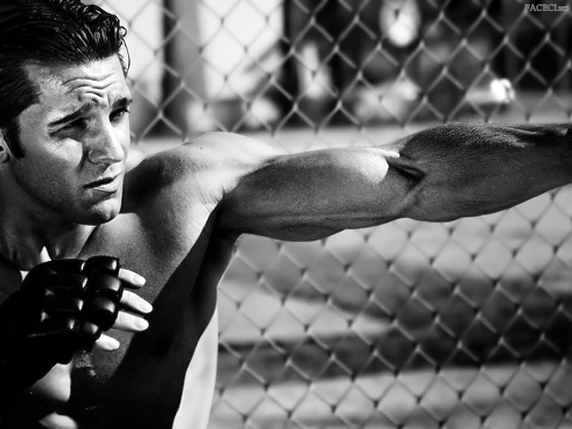 Ręki, Mężczyzna, Mięśnie